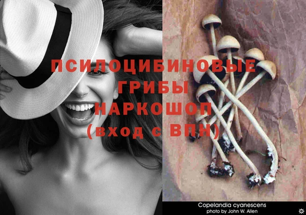 МДМА Сафоново