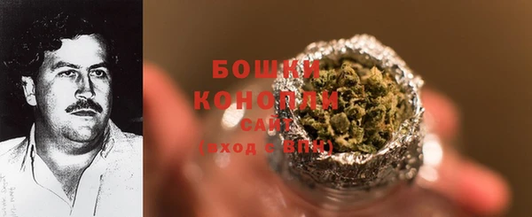 ПСИЛОЦИБИНОВЫЕ ГРИБЫ Сатка