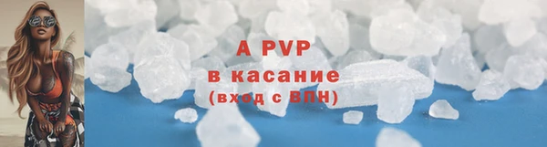 ПСИЛОЦИБИНОВЫЕ ГРИБЫ Сатка