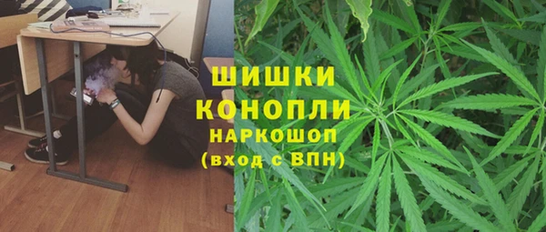 ПСИЛОЦИБИНОВЫЕ ГРИБЫ Сатка