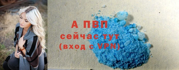 прущие крисы Абаза