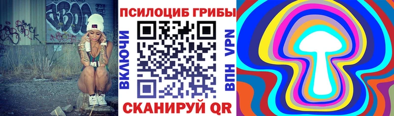 цены   мега   Псилоцибиновые грибы прущие грибы  Весьегонск 